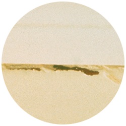 Fot. arch. Dutch Boy