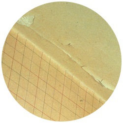 Fot. arch. Dutch Boy