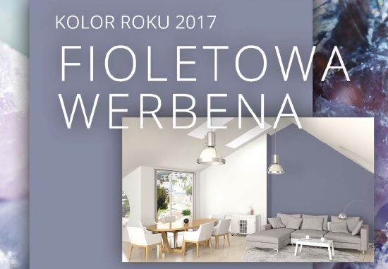 Fioletowa Werbena Dekoral