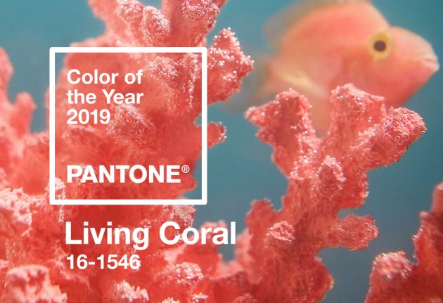 Kolor Roku 2019 Pantone