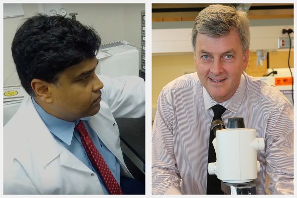 powłoka koronawirus