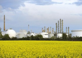 Dyspersje BASF na bazie odnawialnych surowców