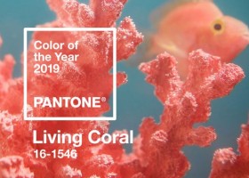Z głębin mórz i internetu – Kolor Roku 2019 Pantone