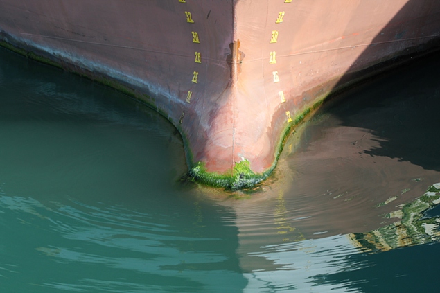 antifouling