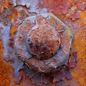 nanocząstki polimerów przewodzących