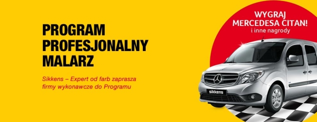 Profesjonalny Malarz