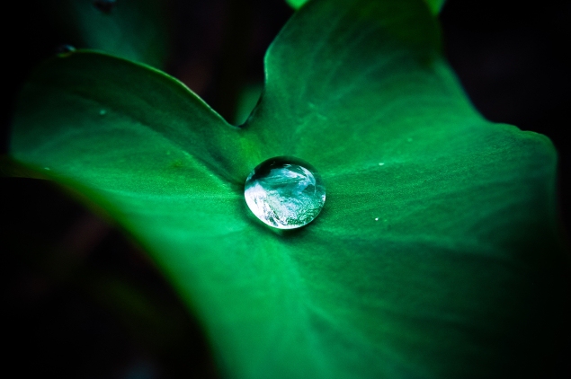 superhydrofobowość dobra adhezja