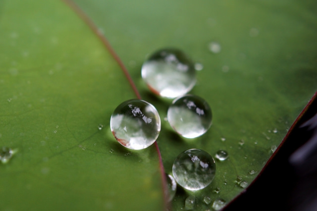 superhydrofobowe powłoki