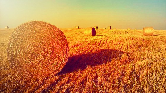 Barwy natury w obiektywie