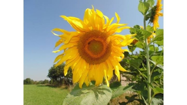 W jakim kolorze Ci do twarzy?