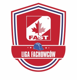 Liga Fachowców
