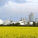 BASF dyspersje surowce odnawialne