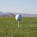 piłki golf PPG