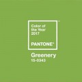Kolor Roku 2017 Pantone