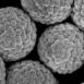 krzemionka emulsje ETH Zurich