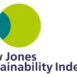AkzoNobel BASF Dow Jones Sustainability Index