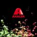 AkzoNobel Axalta