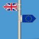 brytyjscy producenci Brexit sondaż BCF