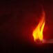 farby ogniochronne EC Fire Forum