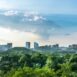zielone miasta Urban Nature Alliance