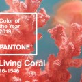 BASF Kolor Roku 2019 Pantone