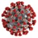 Sun Chemical koronawirus