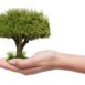 Azelis Together for Sustainability