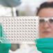 faCellitate BASF powłoki hodowle komórkowe